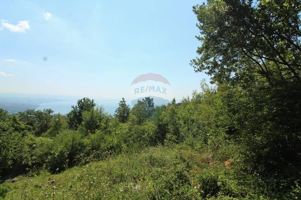 Image 5410221 - 1