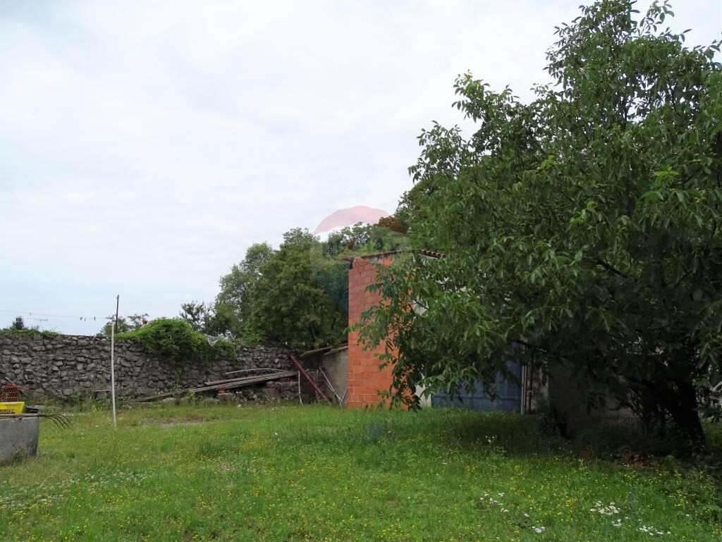 Image 5410235 - 4