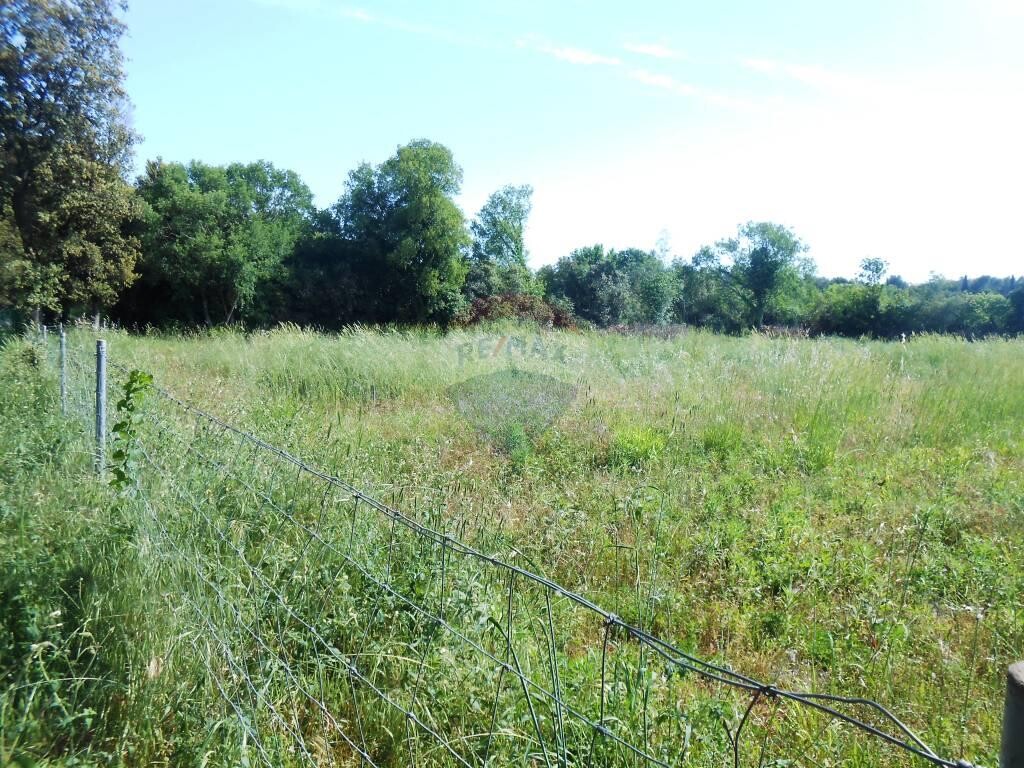 Image 5410236 - 4
