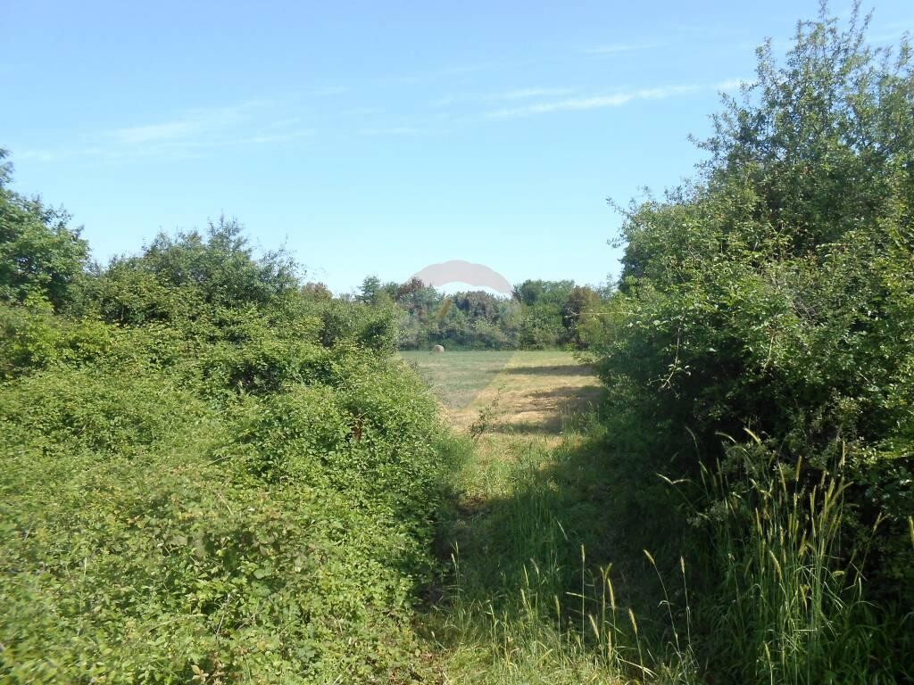 Image 5410236 - 2