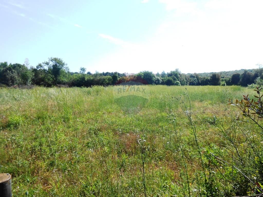 Image 5410236 - 3