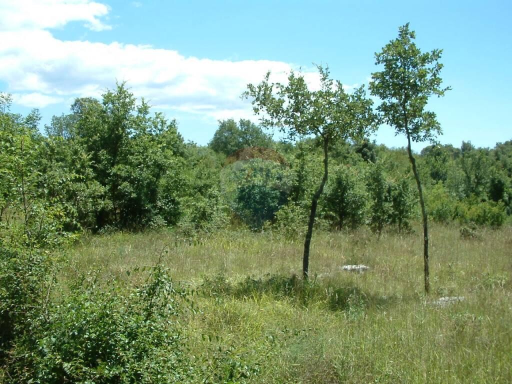 Image 5410241 - 1