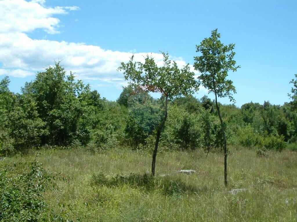 Image 5410241 - 7