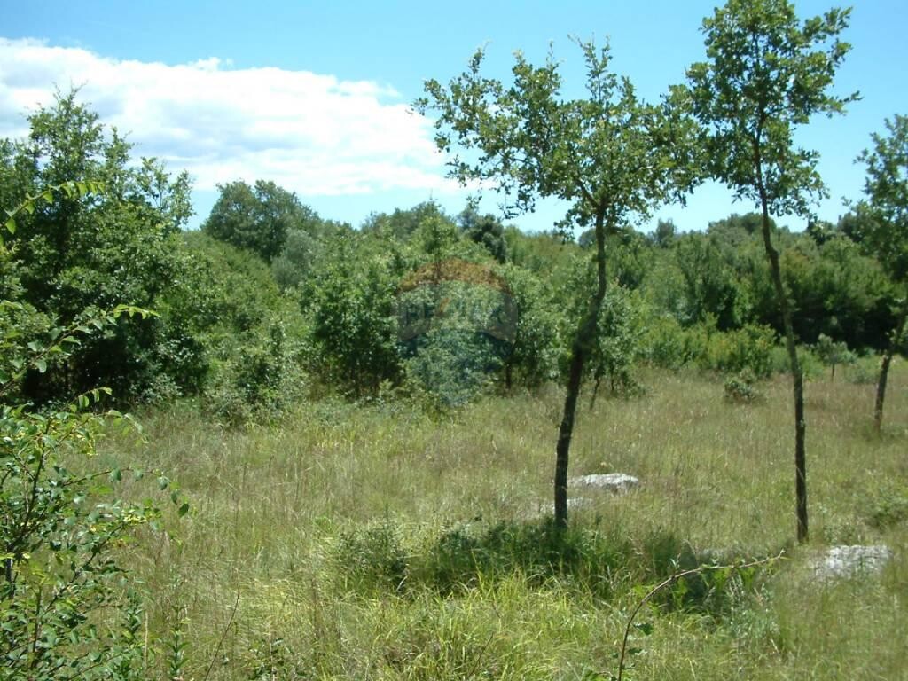 Image 5410241 - 2
