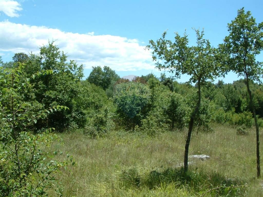 Image 5410241 - 3
