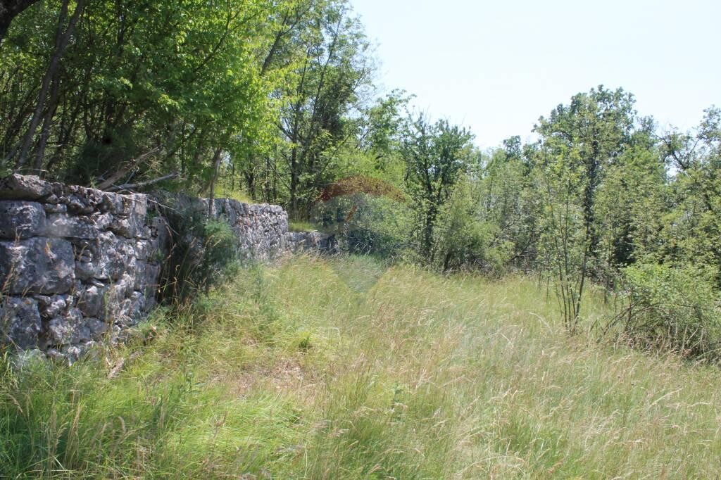 Image 5410247 - 3