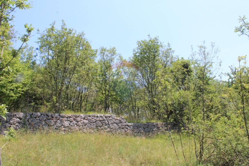 Image 5410247 - 9