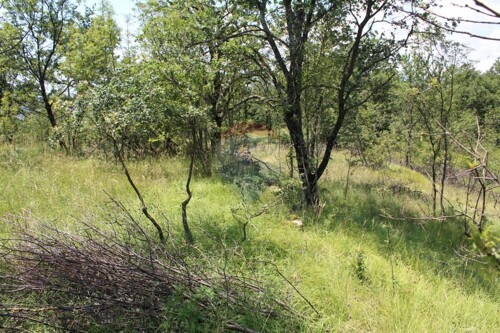 Thumbnail 5410247 - 6