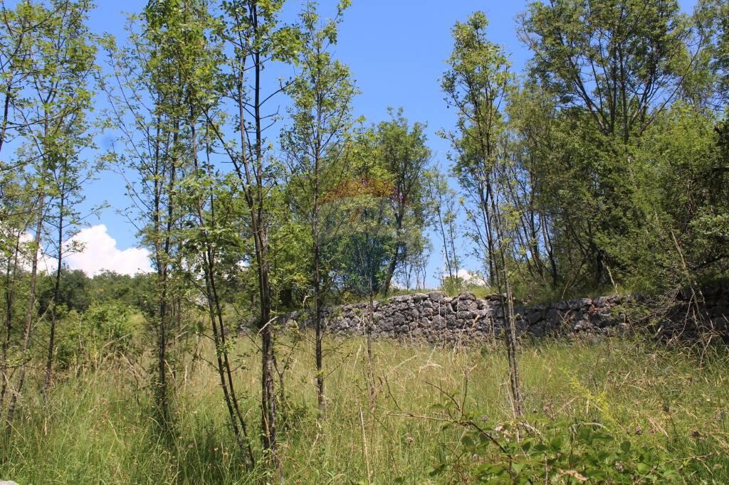 Image 5410247 - 11