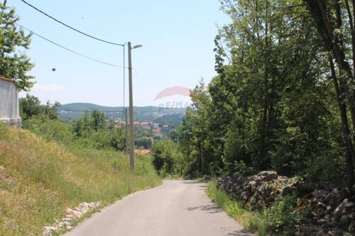 Thumbnail 5410247 - 12