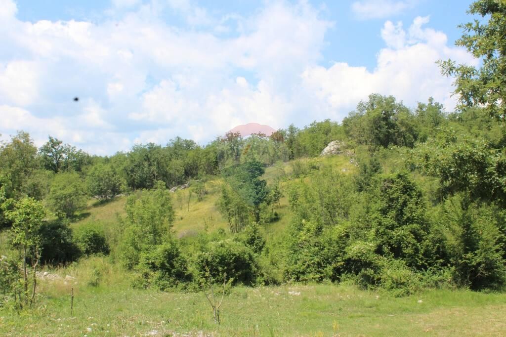 Image 5410247 - 1