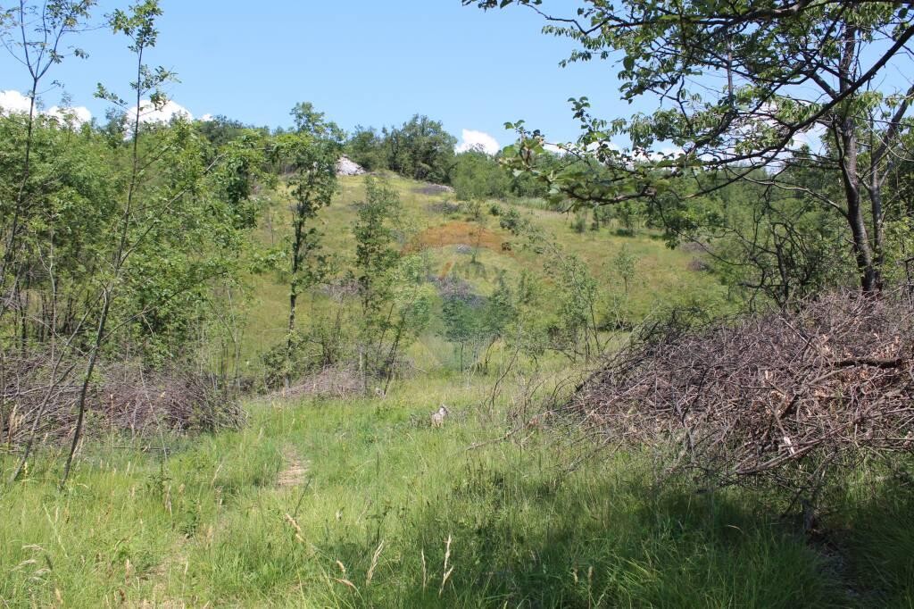 Image 5410247 - 10