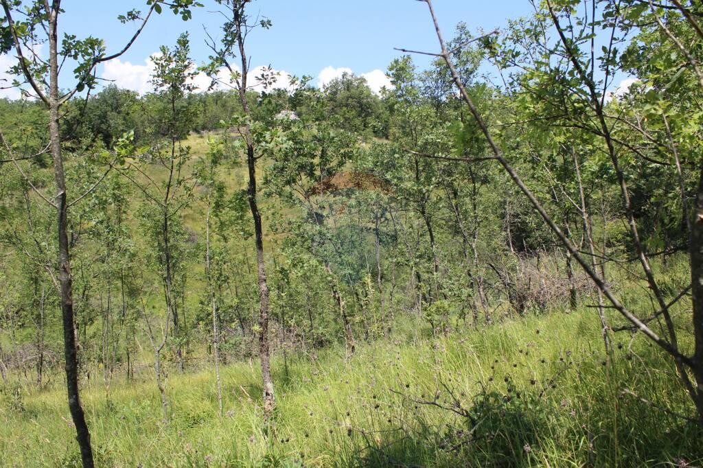 Image 5410247 - 4