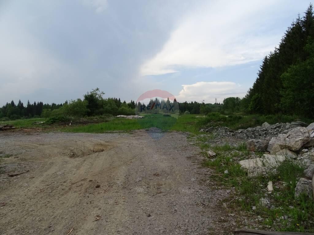 Image 5410249 - 1