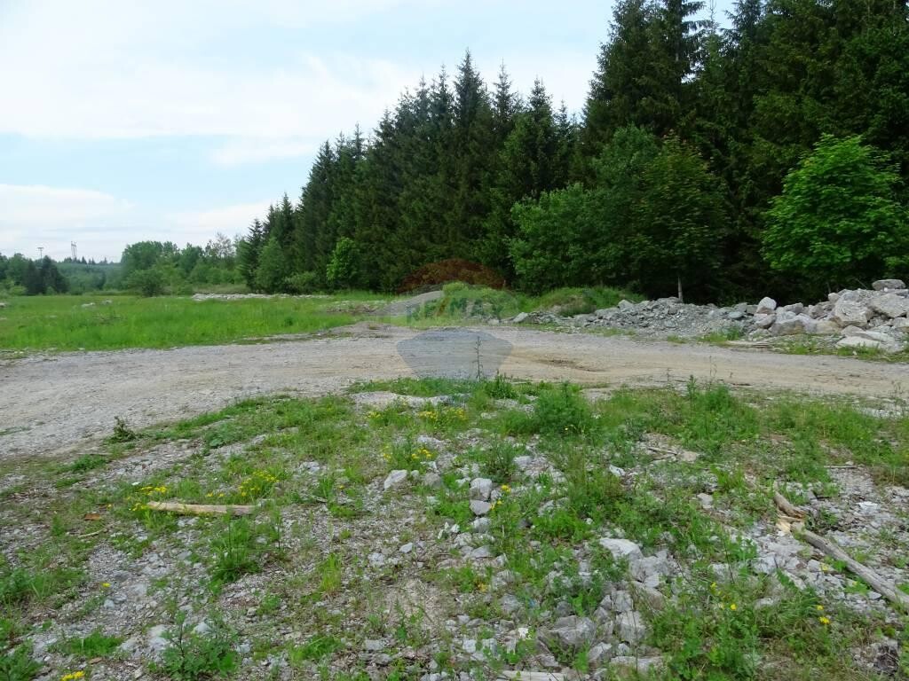 Image 5410249 - 4
