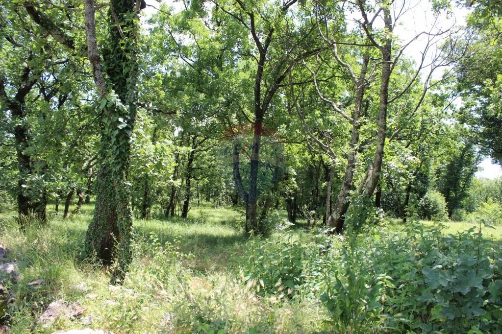Image 5410250 - 3