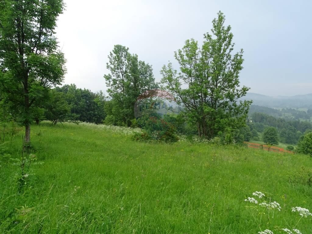Image 5410251 - 6