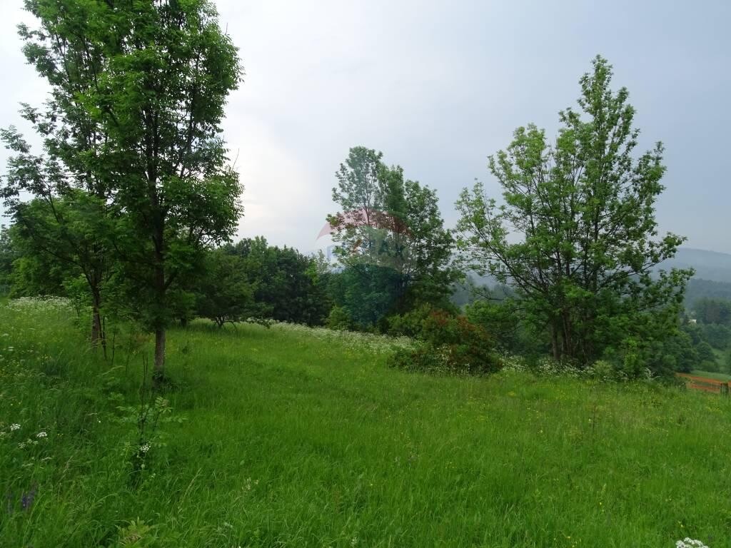 Image 5410251 - 7