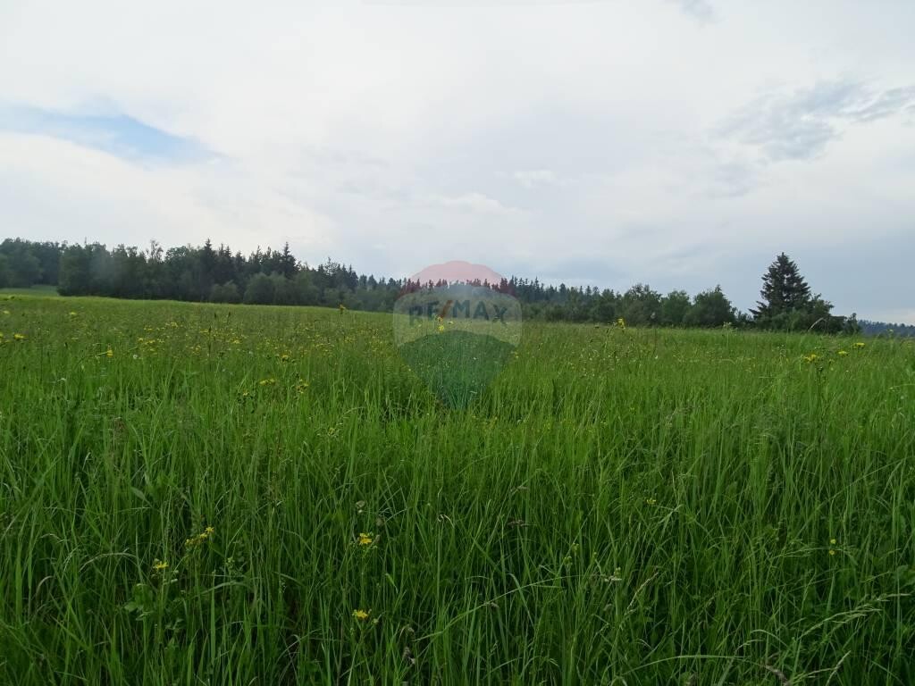 Image 5410251 - 2