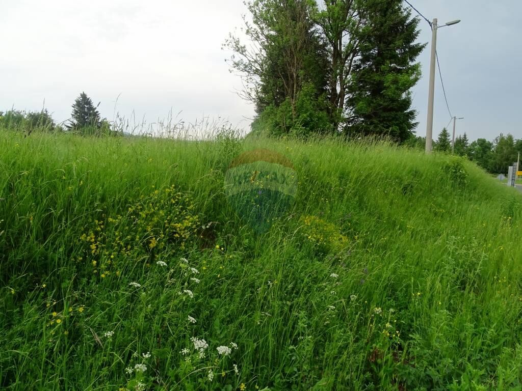 Image 5410251 - 4