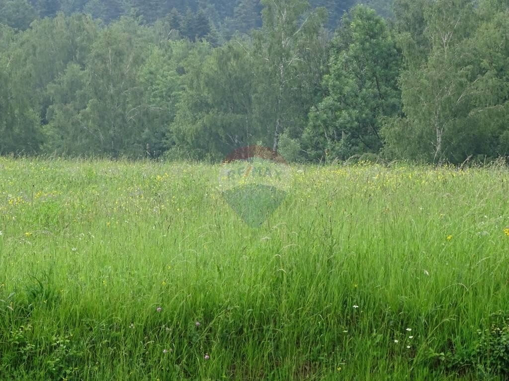 Image 5410251 - 1