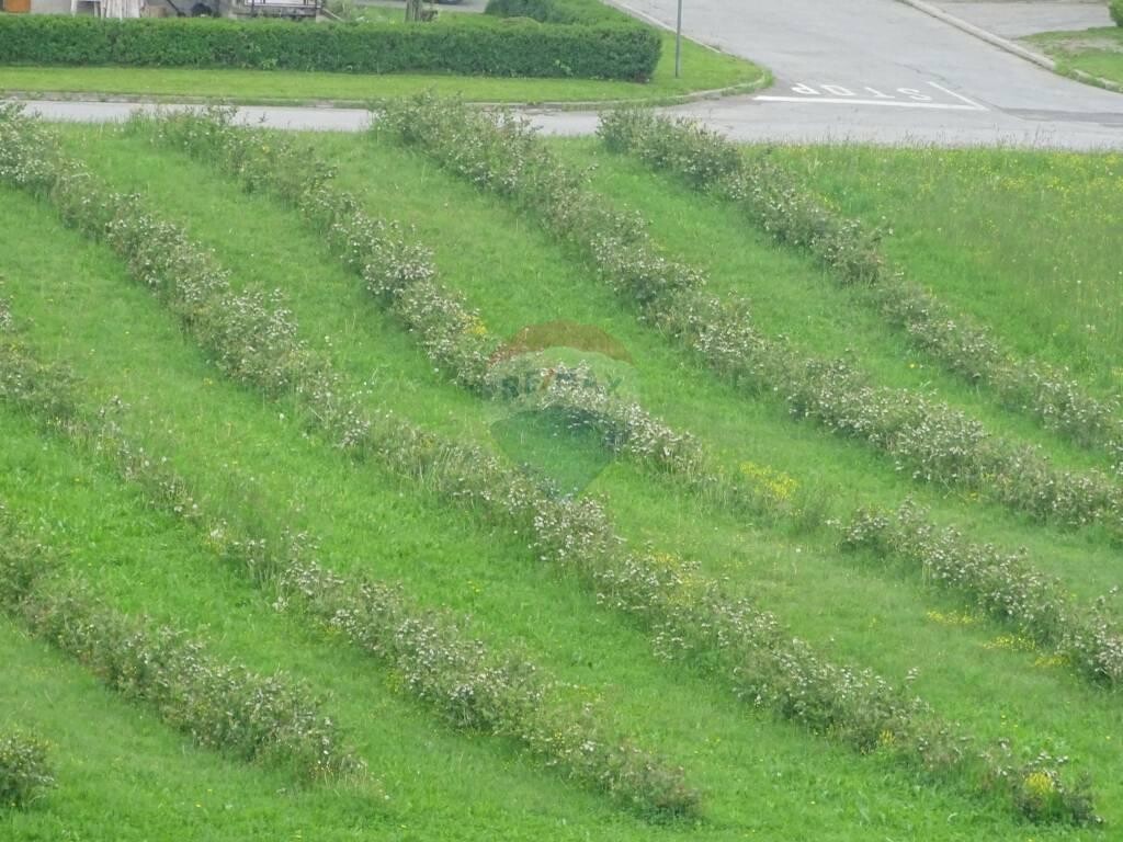 Image 5410261 - 1