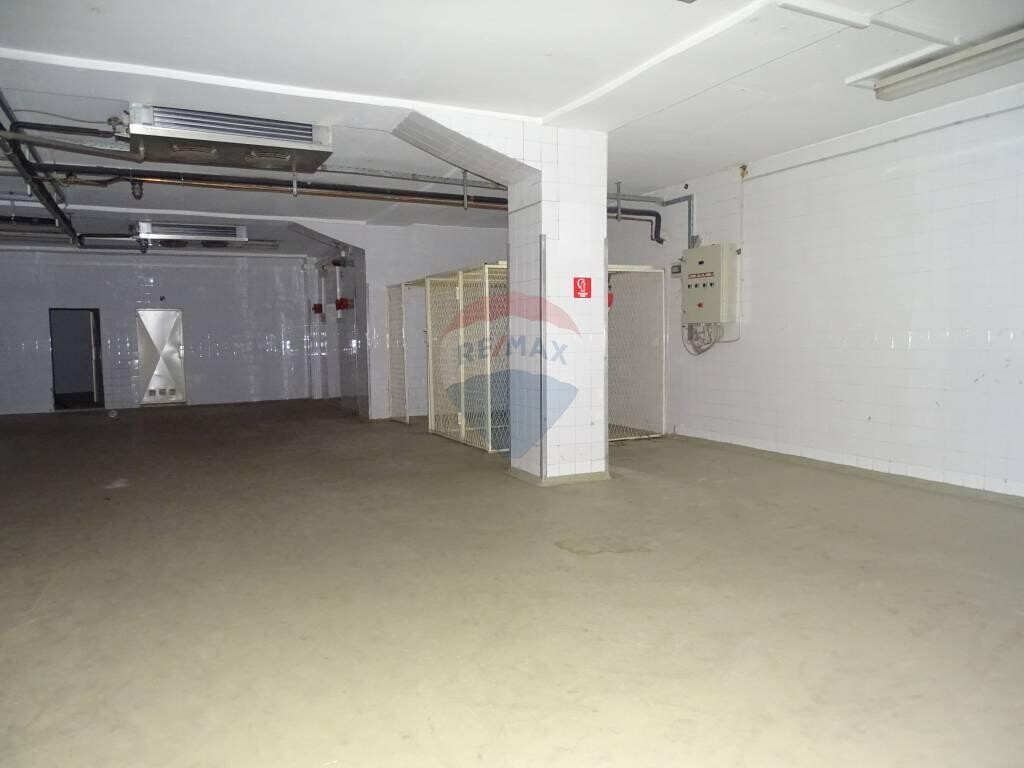 Image 5410275 - 4