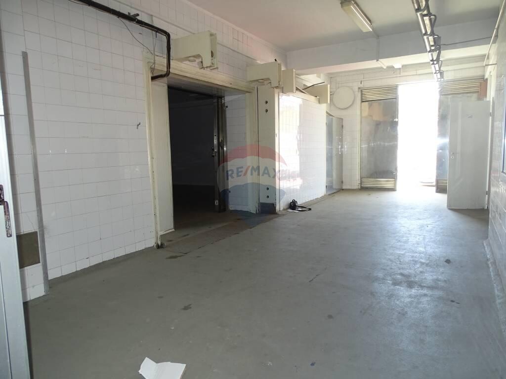 Image 5410275 - 6