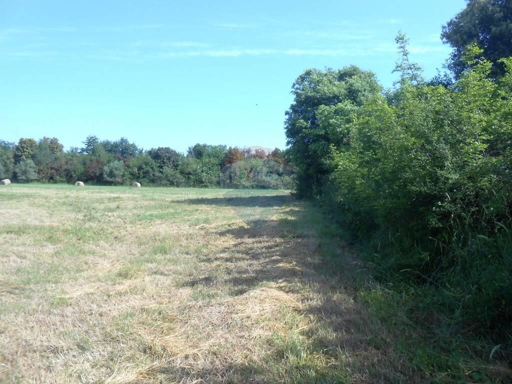 Image 5410285 - 2