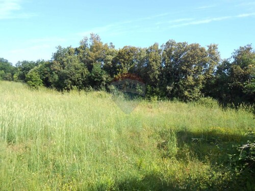 Istra, Štinjan, građevinsko zemljište 180m od mora