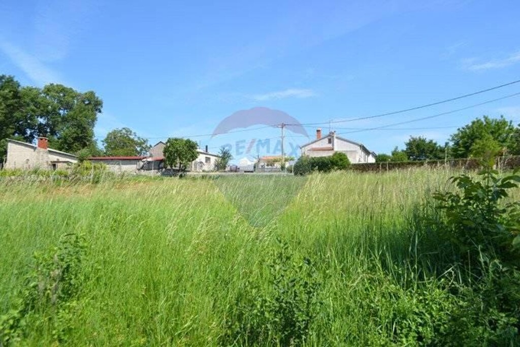 Image 5410288 - 6