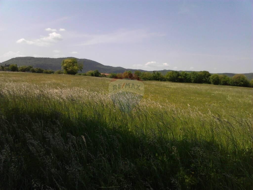 Image 5410289 - 3