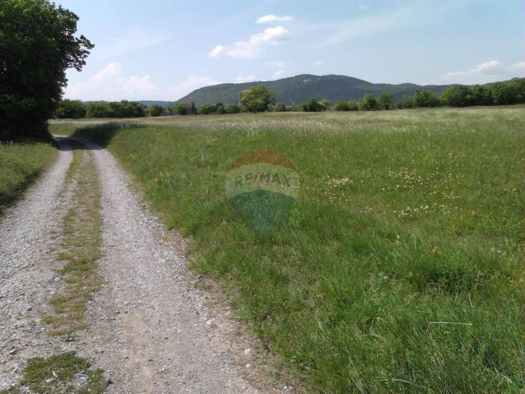 Image 5410289 - 1