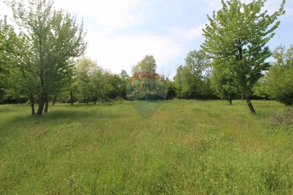 Image 5410298 - 3