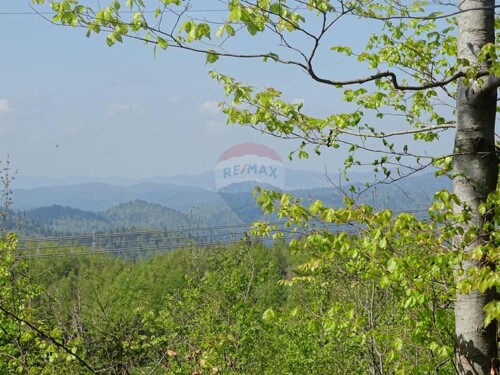 FUŽINE, BITORAJ - teren u srcu šume