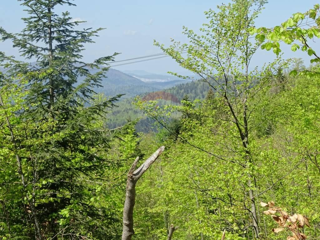 Image 5410310 - 2