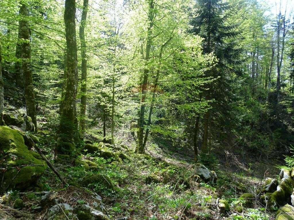 Image 5410310 - 6