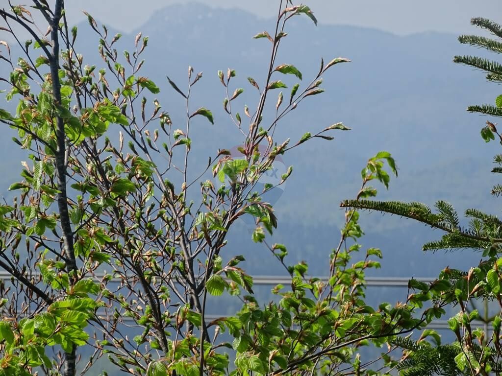Image 5410310 - 3