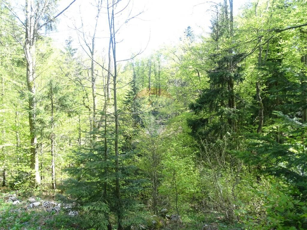 Image 5410310 - 5