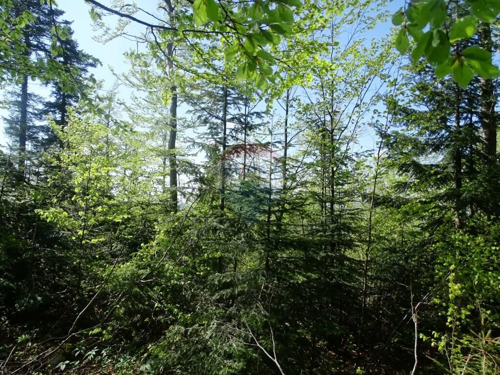 Image 5410310 - 9