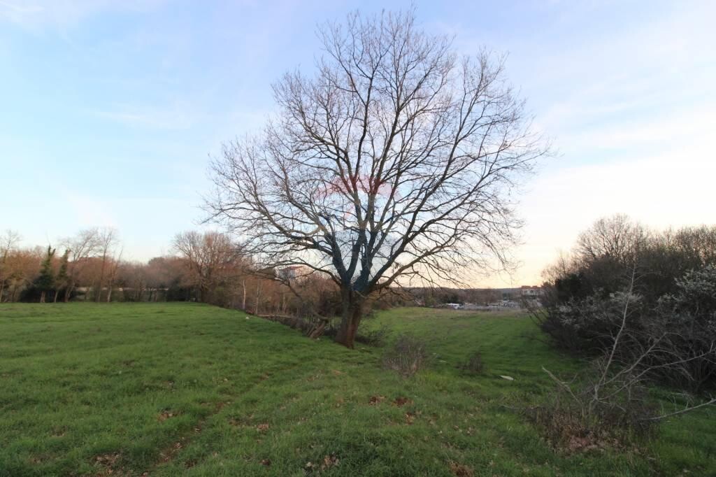 Image 5410320 - 4