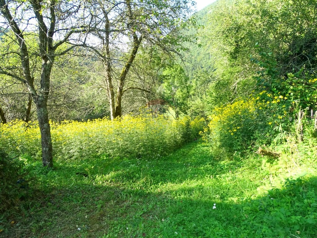 Image 5410332 - 2