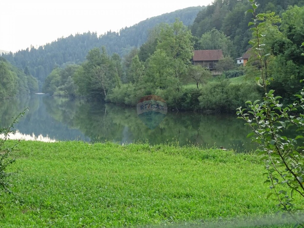 Image 5410332 - 1