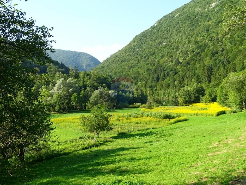 Image 5410332 - 4