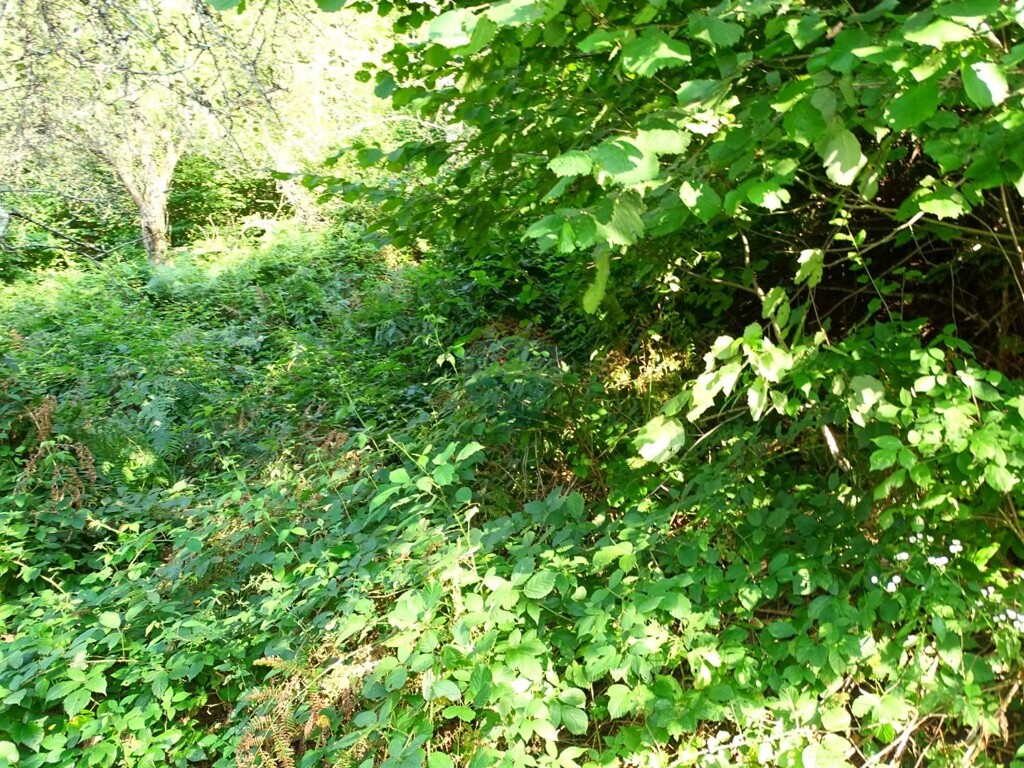 Image 5410332 - 5