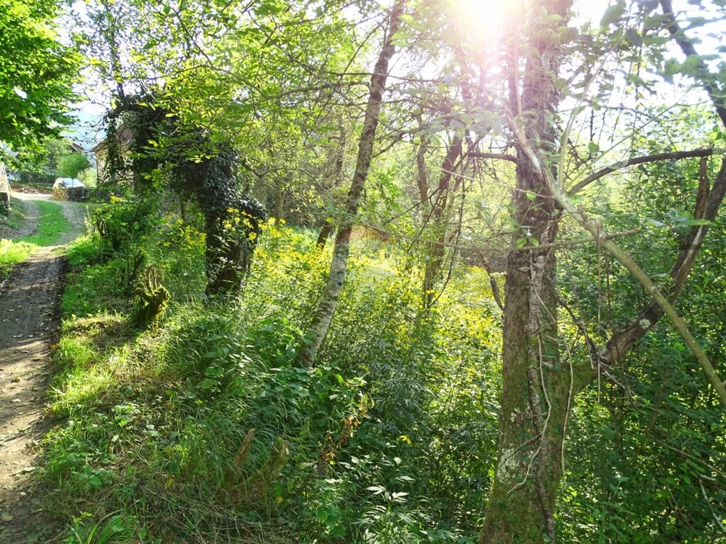 Image 5410332 - 3