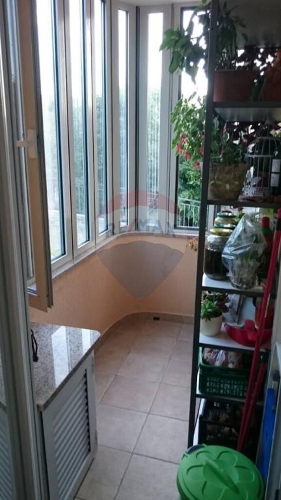 Image 5410334 - 3