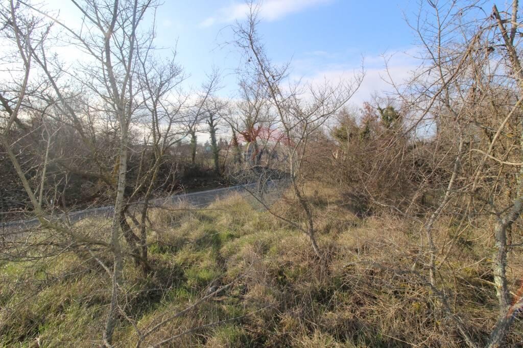 Image 5410342 - 3