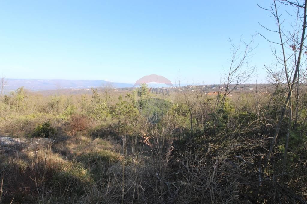Image 5410357 - 3