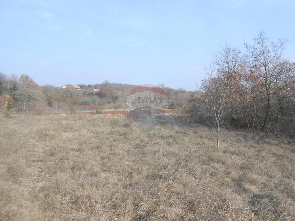 Image 5410360 - 3